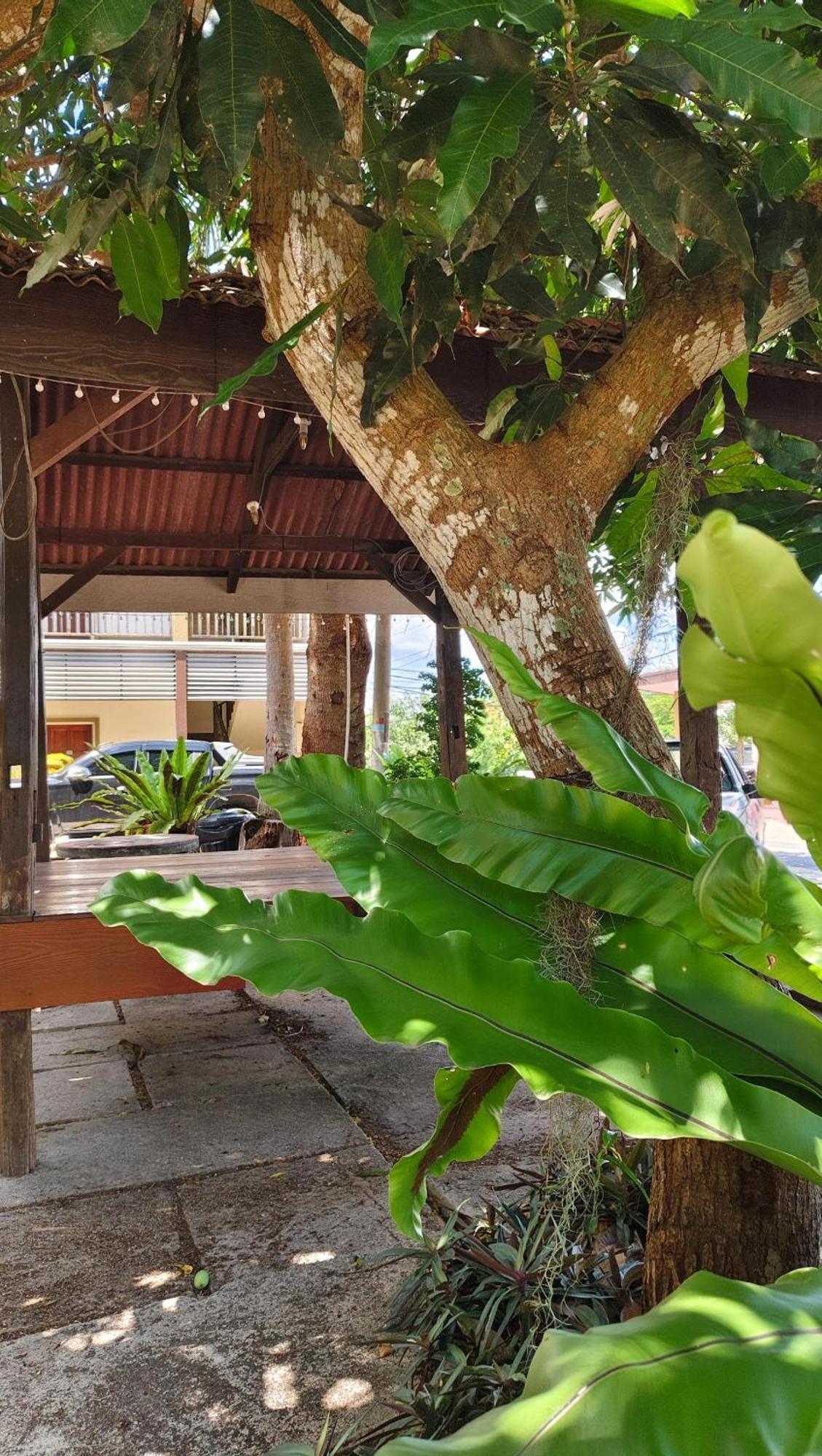 Casa Idaman Motel Pantai Cenang  Exterior foto